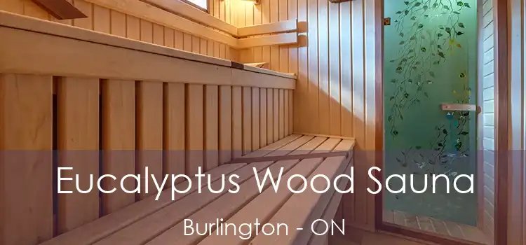  Eucalyptus Wood Sauna Burlington - ON